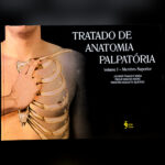Tratado de Anatomia Palpatória: Volume 1 - Membro Superior